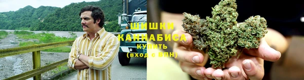 сатива Арсеньев