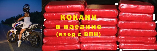 сатива Арсеньев