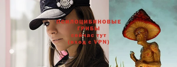 ALPHA-PVP Аркадак