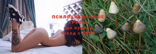 сатива Арсеньев