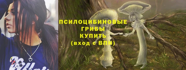сатива Арсеньев