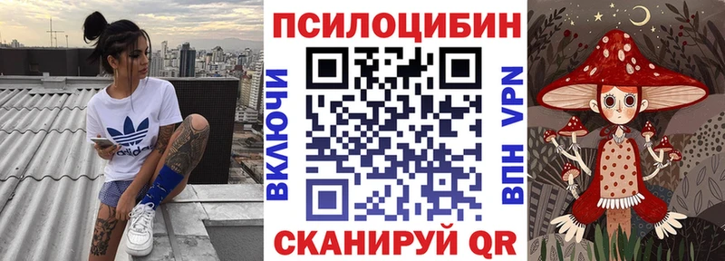 где купить наркотик  Спас-Клепики  OMG онион  Галлюциногенные грибы мухоморы 